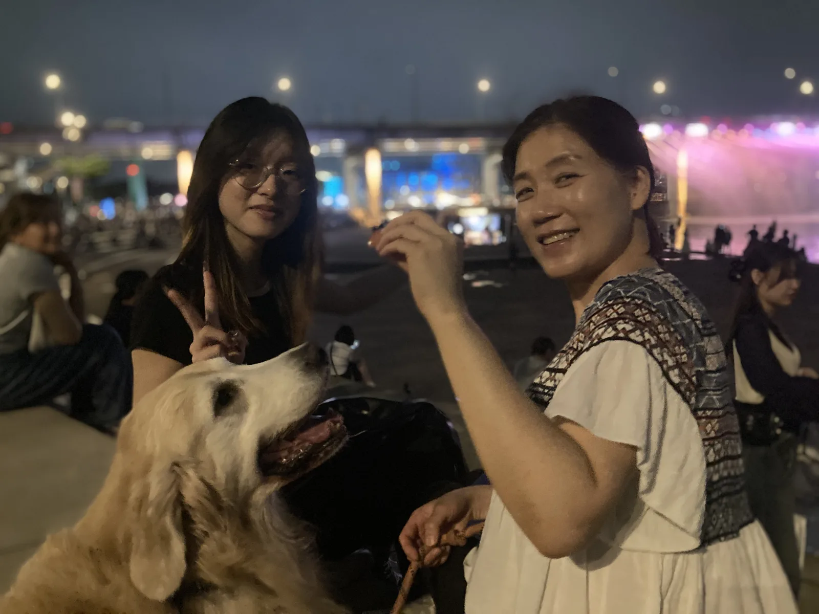An evening walk with a friendly dog